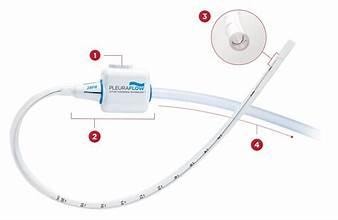 Pleura Flow